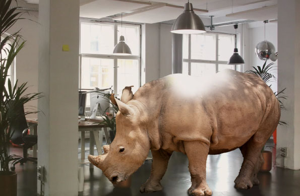 My Staff Shop - Case Study Rhino Safety